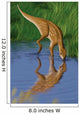 Hypsilophodon Drinking Water from Wall Decal