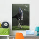 Oviraptor Wall Decal