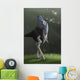 Oviraptor Wall Decal