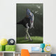 Oviraptor Wall Decal