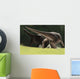 Confrontation between Two Pachycephalosaurus Wall Decal
