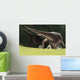Confrontation between Two Pachycephalosaurus Wall Decal
