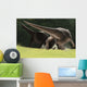 Confrontation between Two Pachycephalosaurus Wall Decal