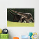 Confrontation between Two Pachycephalosaurus Wall Decal
