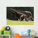Confrontation between Two Pachycephalosaurus Wall Decal
