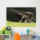 Confrontation between Two Pachycephalosaurus Wall Decal