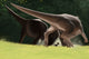 Confrontation between Two Pachycephalosaurus Wall Decal