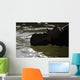 Pachyrhinosaurus Dinosaur Prehistoric Lake Wall Decal