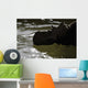 Pachyrhinosaurus Dinosaur Prehistoric Lake Wall Decal