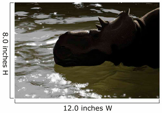 Pachyrhinosaurus Dinosaur Prehistoric Lake Wall Decal