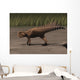 Psittacosaurus Sibiricus Prehistoric Landscape Wall Decal
