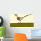 Dromaeosaurus Albertensis Wall Decal