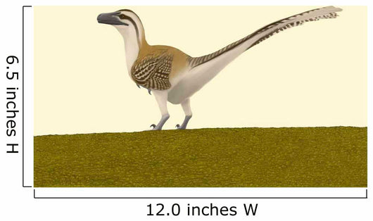 Dromaeosaurus Albertensis Wall Decal