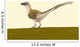 Dromaeosaurus Albertensis Wall Decal