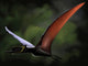 Dsungaripterus with Wings Spread Wall Decal