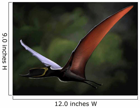 Dsungaripterus with Wings Spread Wall Decal