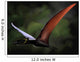 Dsungaripterus with Wings Spread Wall Decal