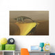 Huaxiaosaurus Aigahtens Dinosaurs Migrate Wall Decal