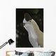 Oviraptor Mongoliensis Portrait Wall Decal