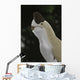Oviraptor Mongoliensis Portrait Wall Decal