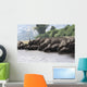 Herd Styracosaurus Dinosaurs Grazing Wall Decal