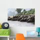 Herd Styracosaurus Dinosaurs Grazing Wall Decal