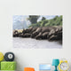 Herd Styracosaurus Dinosaurs Grazing Wall Decal