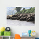 Herd Styracosaurus Dinosaurs Grazing Wall Decal