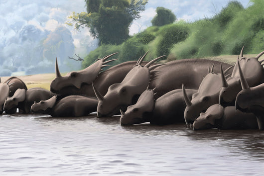 Herd Styracosaurus Dinosaurs Grazing Wall Decal