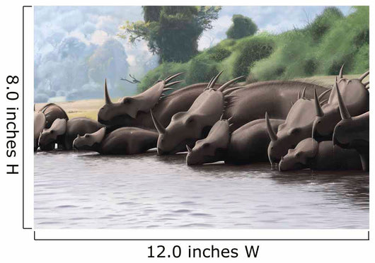 Herd Styracosaurus Dinosaurs Grazing Wall Decal