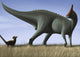 Tsintaosaurus Spinorhinus and Its Wall Decal