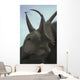 Close-up Diabloceratops Wall Decal