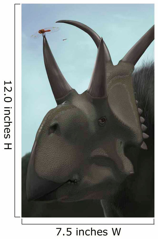 Close-up Diabloceratops Wall Decal