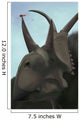 Close-up Diabloceratops Wall Decal