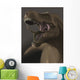 Close-up Tyrannosaurus Rex Eating Wall Decal