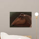 Edmontosaurus Regalis Dinosaur Portrait Wall Decal