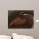 Edmontosaurus Regalis Dinosaur Portrait Wall Decal