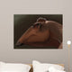 Edmontosaurus Regalis Dinosaur Portrait Wall Decal