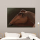 Edmontosaurus Regalis Dinosaur Portrait Wall Decal