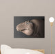 Portrait Head Lythronax Dinosaur Wall Decal
