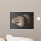 Portrait Head Lythronax Dinosaur Wall Decal