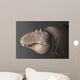Portrait Head Lythronax Dinosaur Wall Decal
