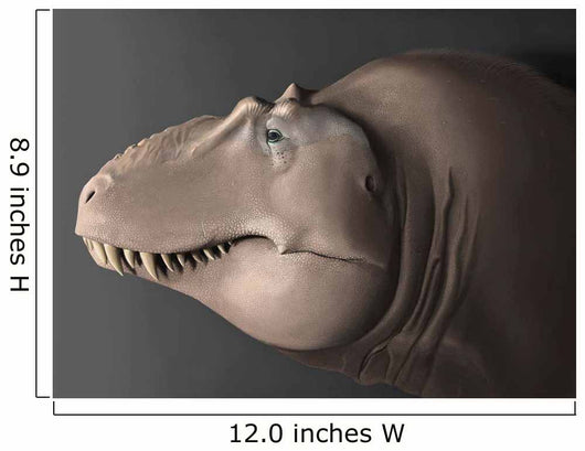 Portrait Head Lythronax Dinosaur Wall Decal