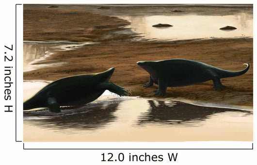 Cotylorhynchus Confrontation Water's Edge Wall Decal
