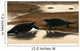 Cotylorhynchus Confrontation Water's Edge Wall Decal