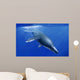 Kronosaurus Queenslandicus Dives into Wall Decal