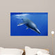 Kronosaurus Queenslandicus Dives into Wall Decal