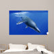 Kronosaurus Queenslandicus Dives into Wall Decal