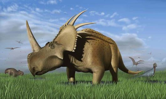 Group Dinosaurs Grazing Grassy Wall Decal