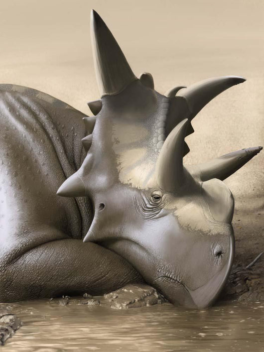 Xenoceratops Foremostensis Relaxing Mud Wall Decal